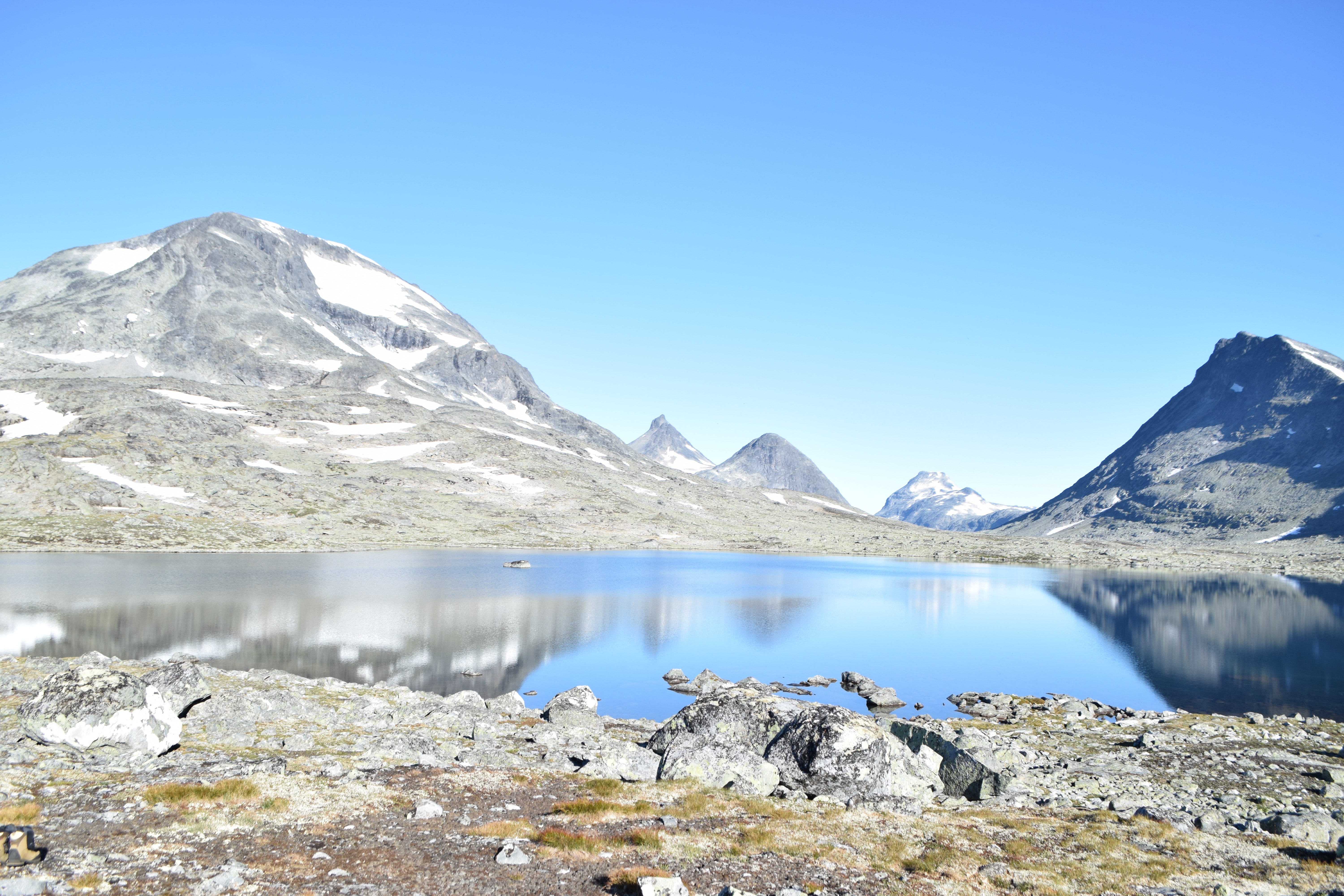 PhD-course on “Open, Reproducible and Transparent Science in Ecology”
